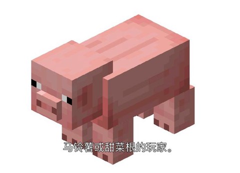 我的世界怎么吸引猪[图2]